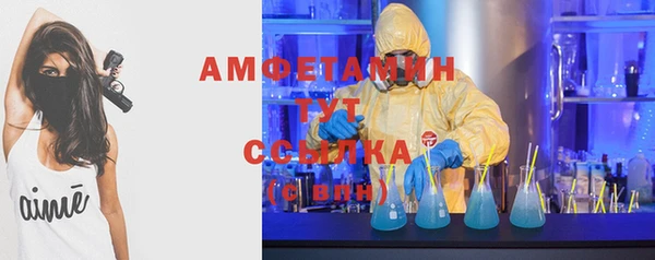 ГАЛЛЮЦИНОГЕННЫЕ ГРИБЫ Бородино